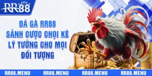 Đá Gà RR88 - Sảnh Cược Chọi Kê Lý Tưởng Cho Mọi Đối Tượng